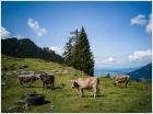wanderungen spiel spass bewegung firmenevent
